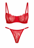 Red lace lingerie set on a white background